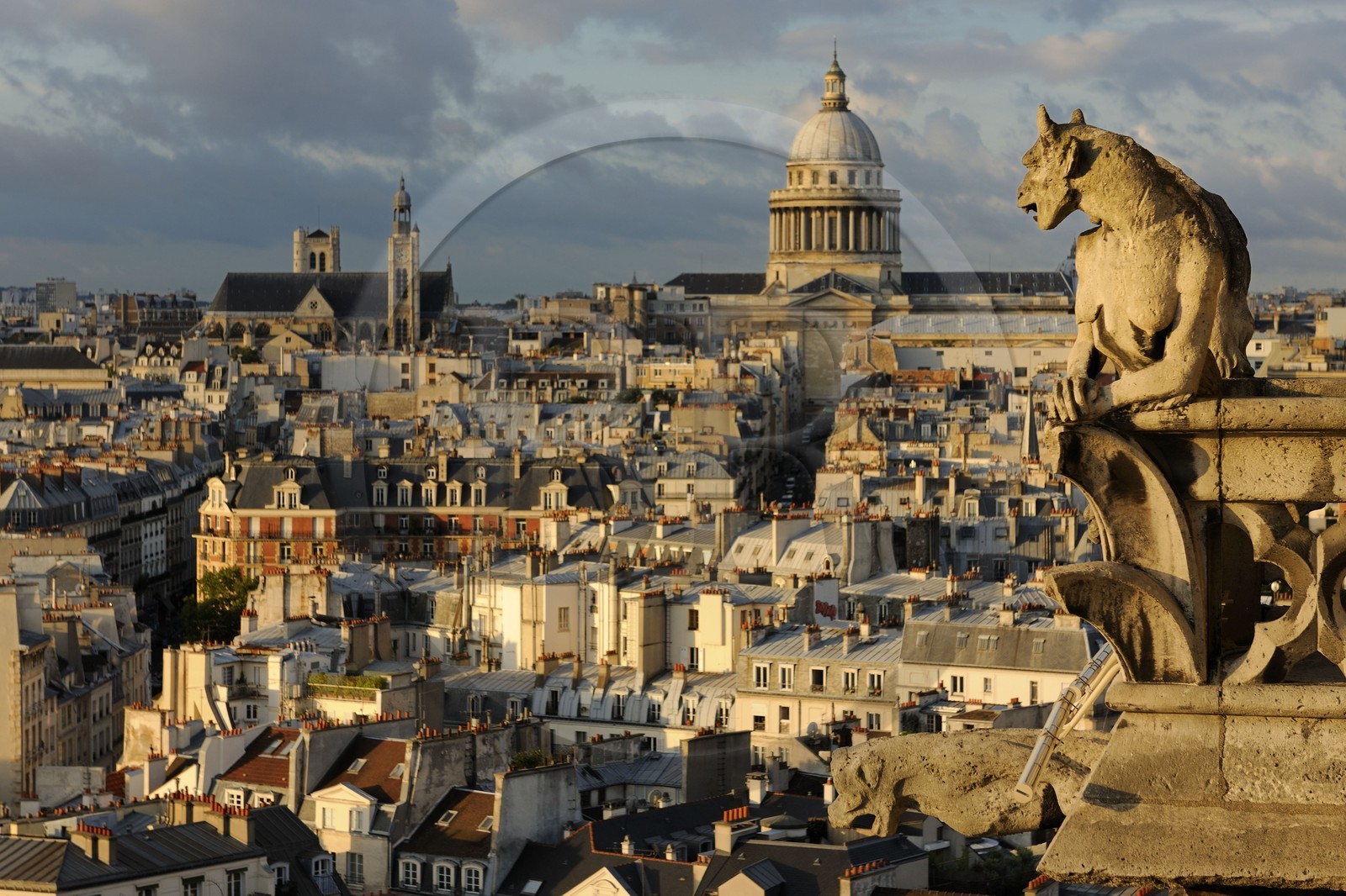 France, Paris (75), île de la Cité, la cathédrale Notre-Dame, une chimère observent le Panthéon