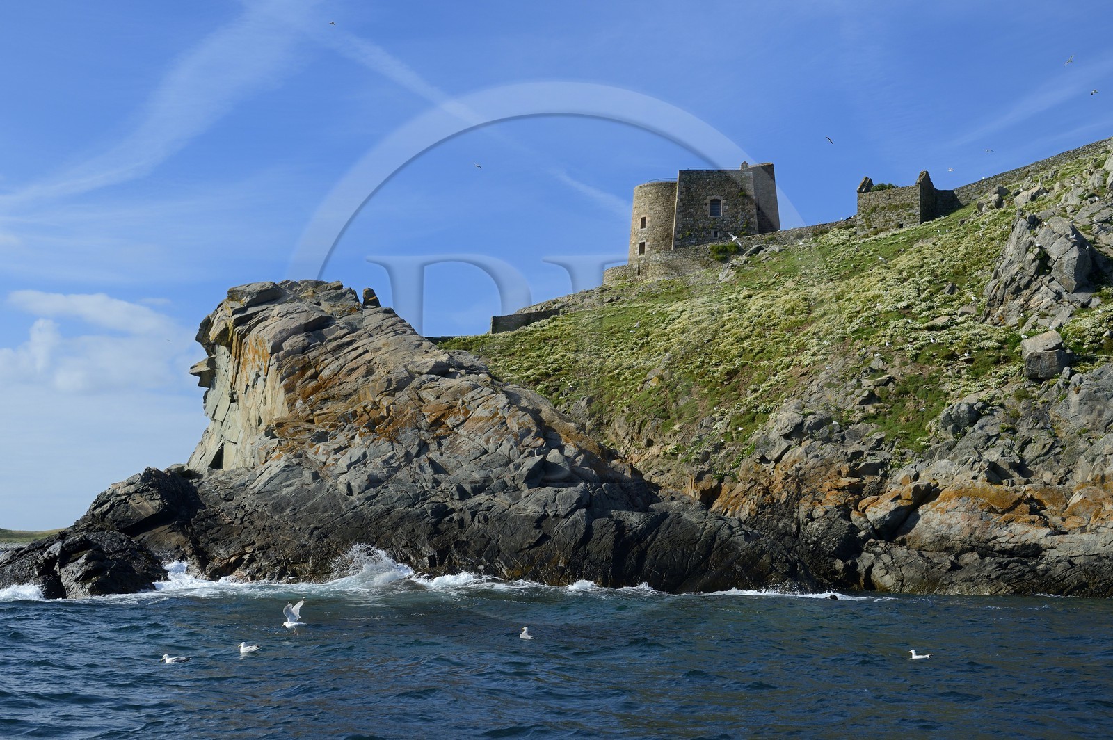 France, Côtes-d'Armor (22), Perros-Guirec, archipel et réserve ornithologique de Sept-Iles, Ile aux Moines, ancien fort