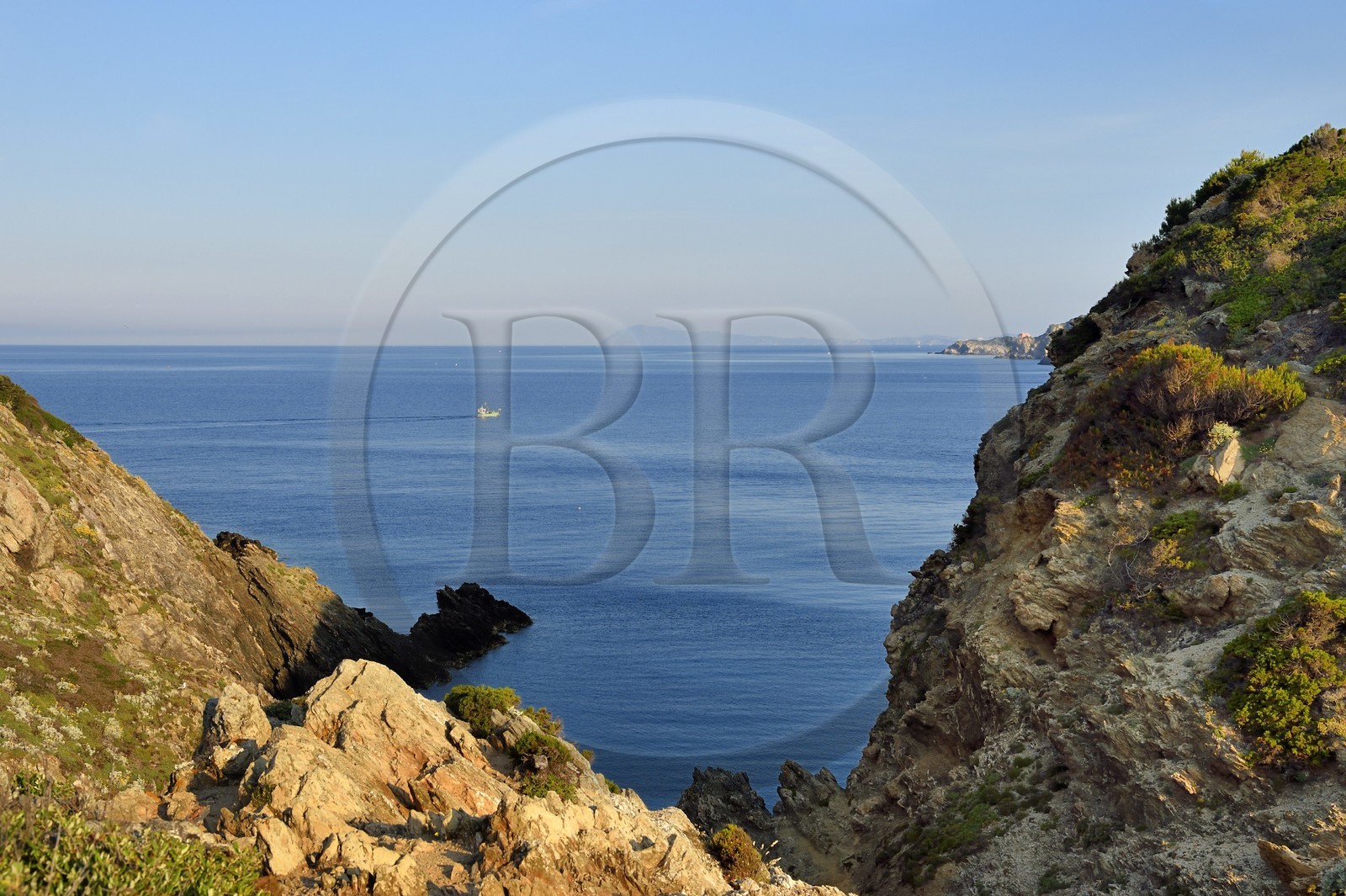 France, Var (83), Iles d'Hyères, parc national de Port Cros, Ile de Porquerolles, la côte Sud-Ouest vers la Gorge du Loup