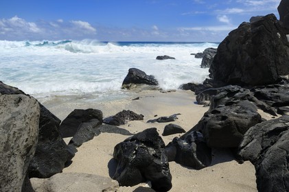 France, île de la Réunion, la côte sud, plage de Grand-Anse