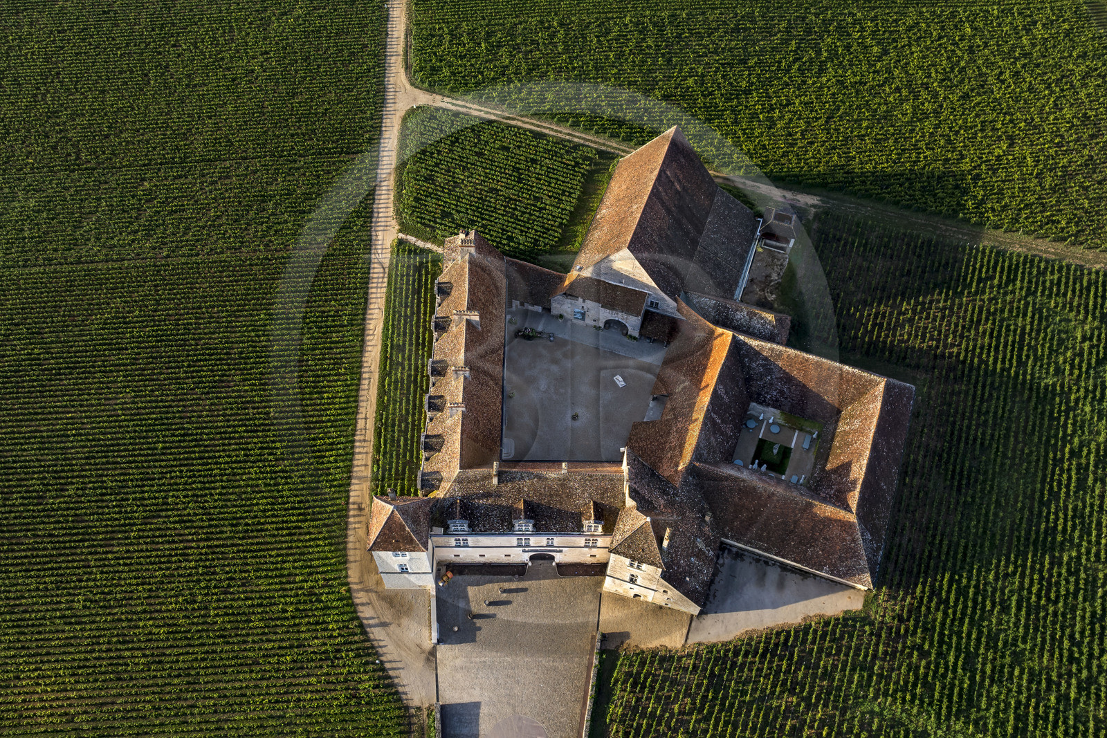 France, Côte-d'Or (21), Paysage culturel des climats de Bourgogne classés Patrimoine Mondial de l'UNESCO, Route des Grands Crus, vignoble de la Côte de Nuits, Vougeot, le Chateau du Clos de Vougeot entouré par le vignoble (vue aérienne)