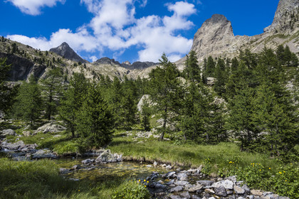 France, Alpes-Maritimes, Parc National du Mercantour (Mercantour national park), Haute Vesubie, Saint Martin Vesubie, Val du Haut Boréon, river along the GR 52 at Lac des Sagnes towards the Cougourde refuge, the border summit of Cougourde (2892m) in the background right