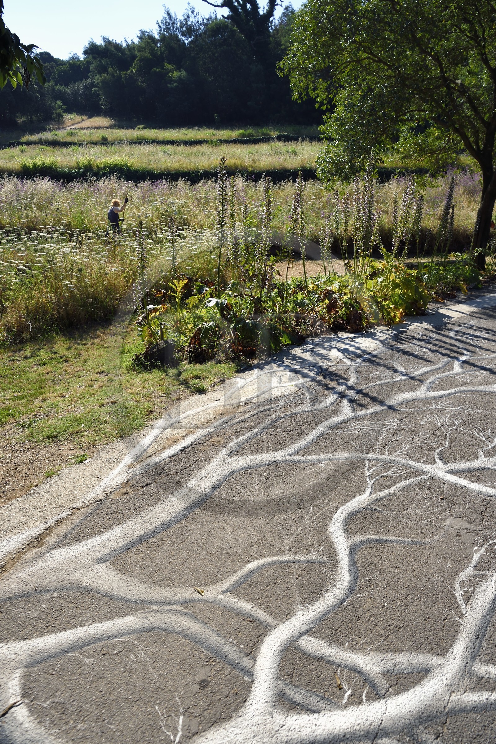 France, Var (83), Rayol-Canadel-sur-Mer, Domaine du Rayol, propriété du conservatoire du littoral mention obligatoire, le jardin des Méditerranées conçu par le paysagiste Gilles Clément, Land art ephemère au sol