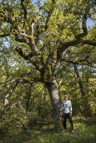 France, Var, Provence Verte (Green Provence), Bras, Academie du Bain de Foret Provencale (Academy of Forest Bathing in Provence), forest of the domaine Le Peyrourier - une campagne en Provence