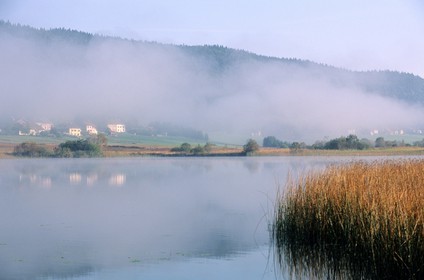 France, Doubs, Saint Point lake in early hours mist