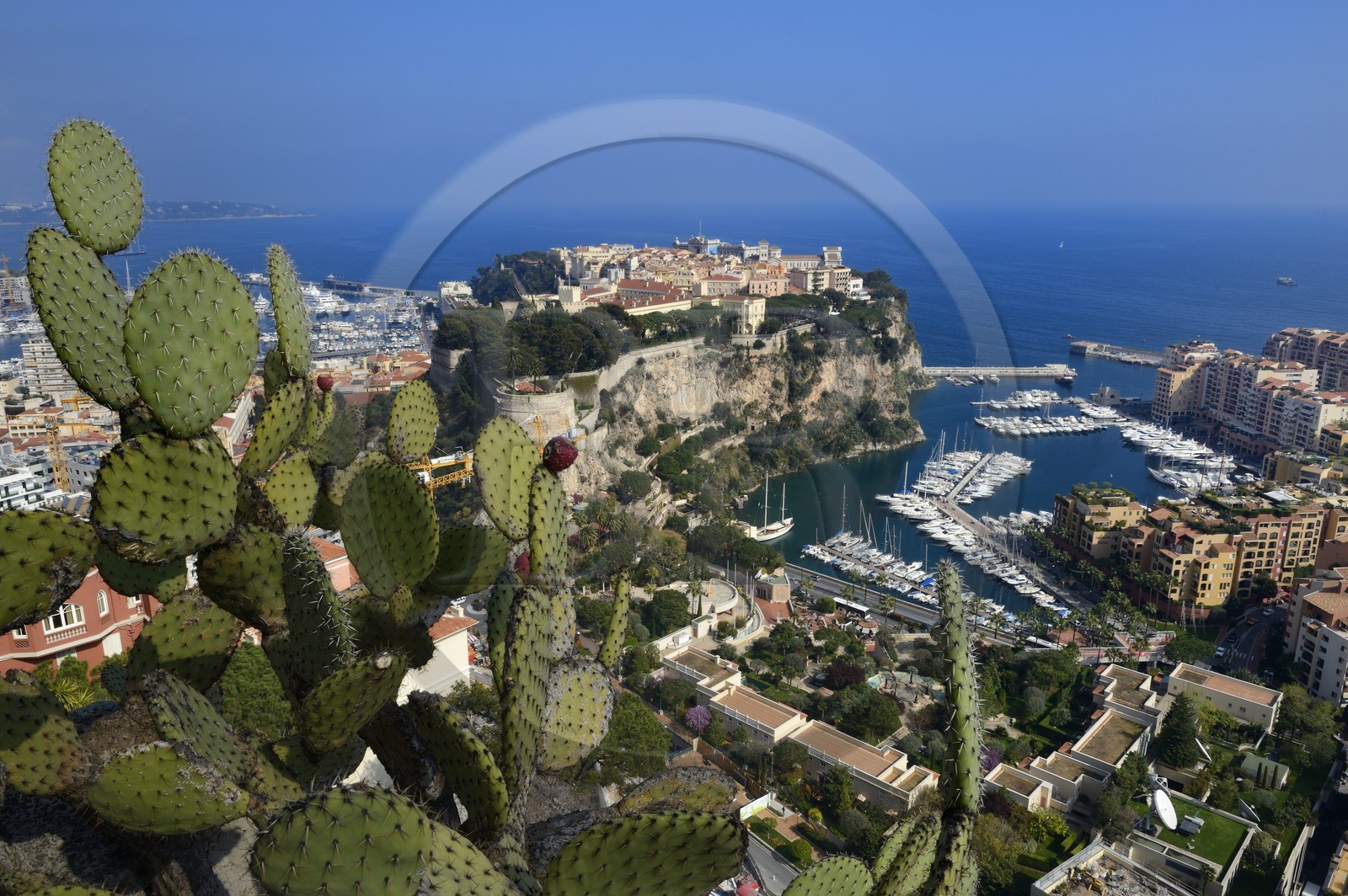 Principauté de Monaco, Monaco, le Jardin Exotique regroupant plusieurs milliers d'espèces de plantes succulentes, le Rocher et le port de Fontvieille en arrière plan