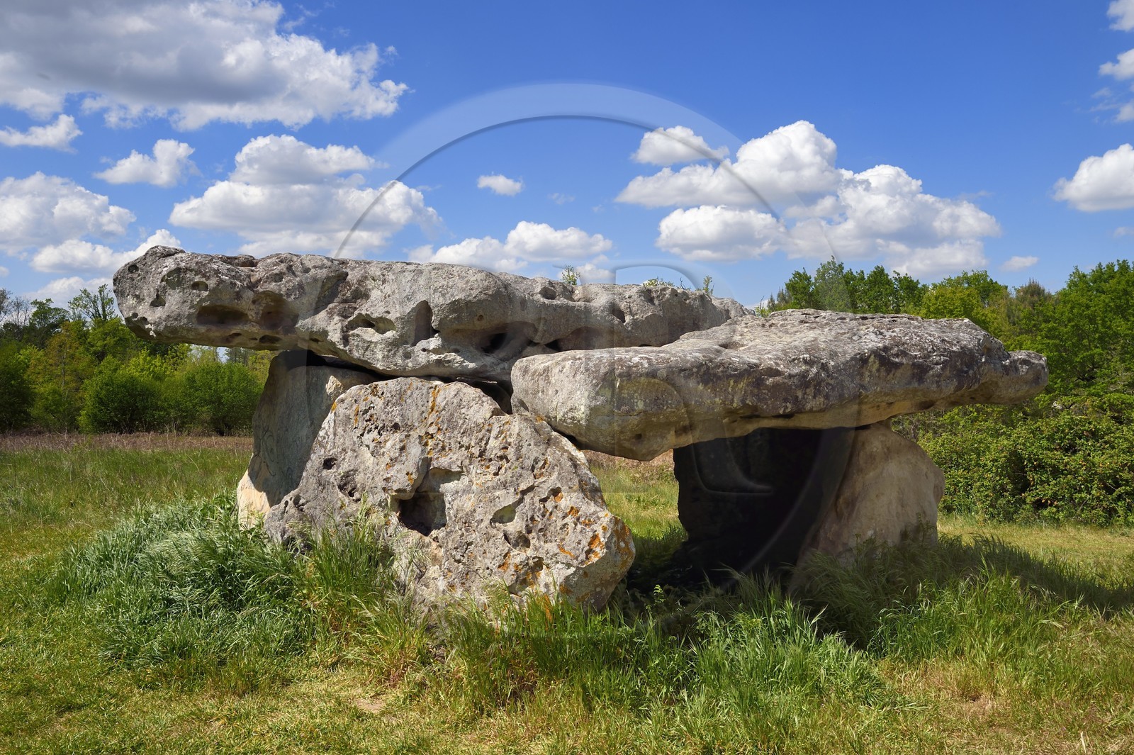 France, Charente (16), Saint-Brice,  dolmen de Garde-Épée