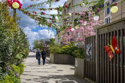France, Vendée (85), La Roche-sur-Yon, la rue piétonne Georges Clemenceau et la place Napoléon en arrière plan