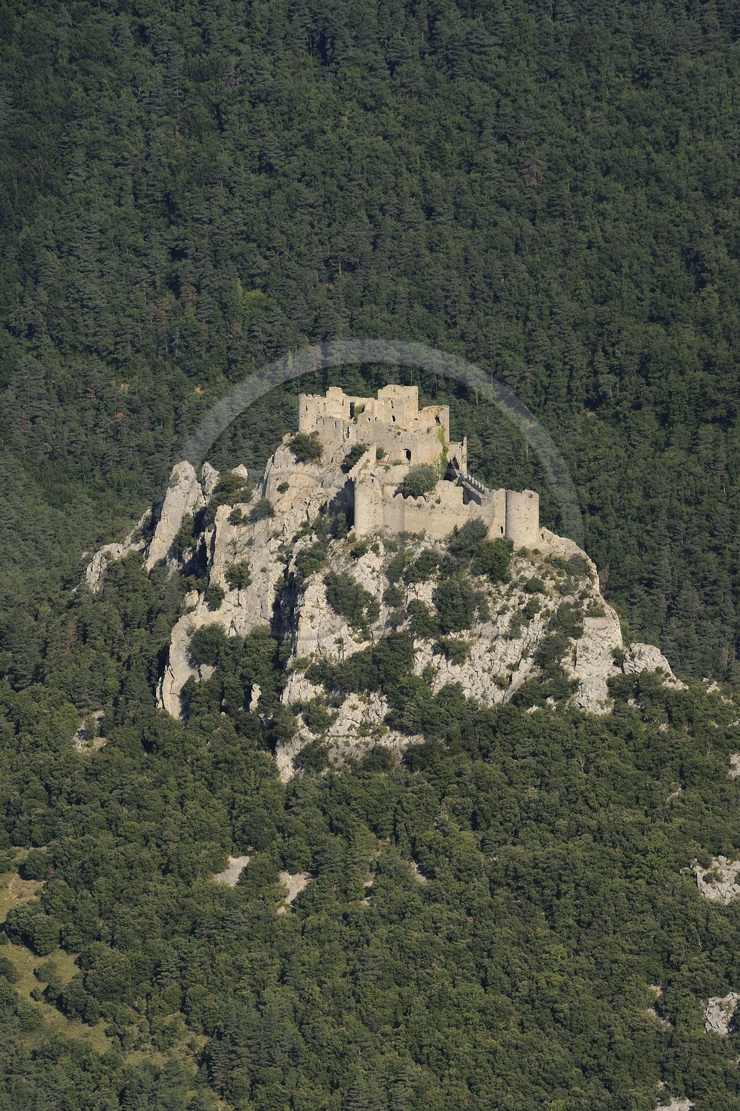 France, Aude (11), château cathare de Puilaurens (vue aérienne)