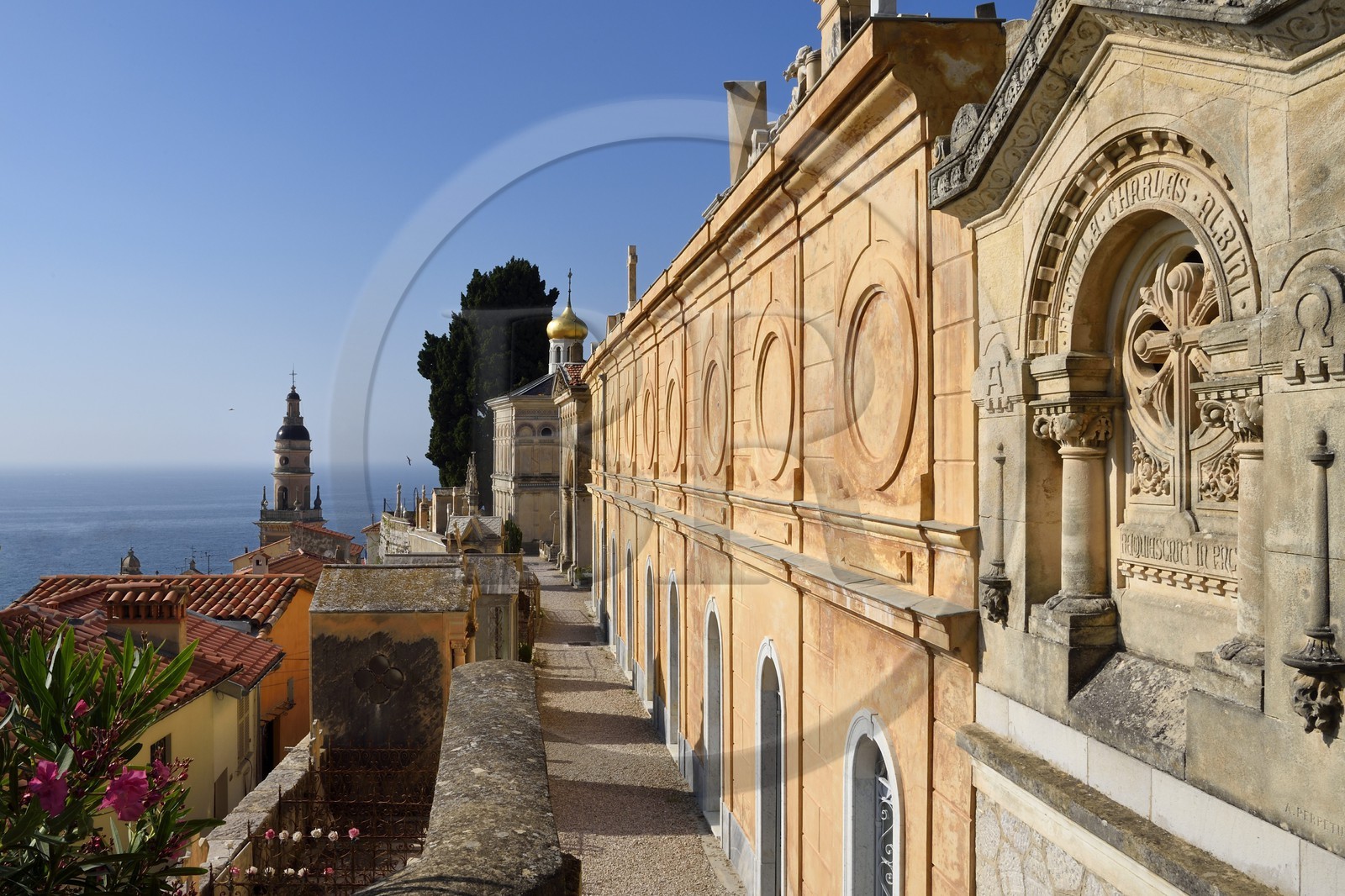 France, Alpes-Maritimes (06), Menton, la vieille ville, le clocher de la basilique Saint-Michel vu du cimetière du Vieux-Chateau, cimetière marin