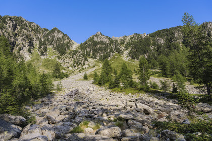 France, Alpes-Maritimes (06), parc national du Mercantour, Haute-Vésubie, Saint-Martin-Vésubie, Val du Haut Boréon, pierrier sous le lac de Trécolpas