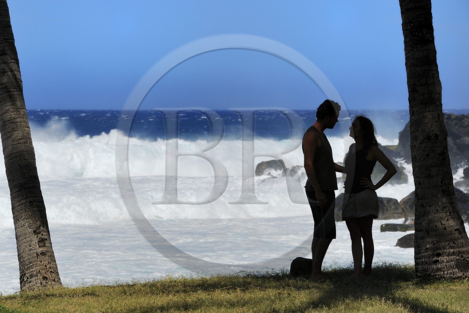 France, île de la Réunion, la côte sud, plage de Grand-Anse