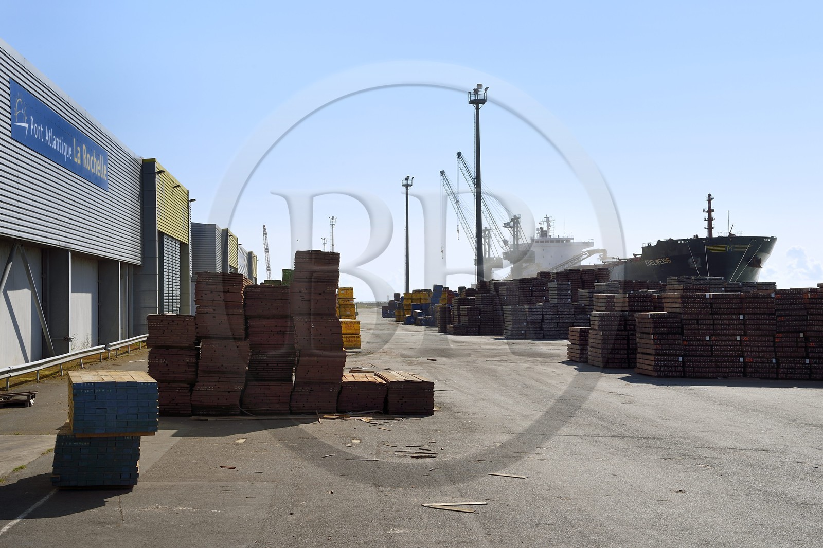France, Charente-Maritime, La Rochelle, the Port Atlantique La Rochelle, the trade port, 1st European port for the import of logs and 1st French port for the import of forest products