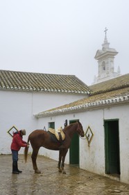 Spain, Andalusia, Seville Province, Utrera, Finca El Pinganillo, the property stud