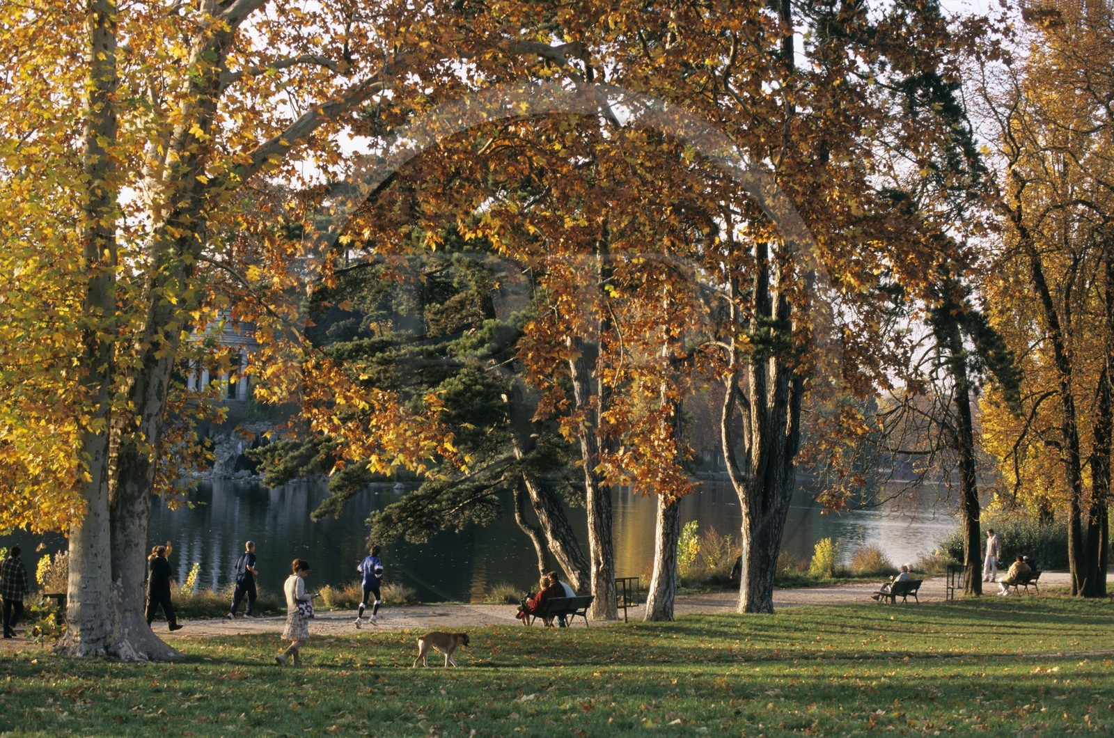 France, Paris, Bois de Vincennes, Lake Daumesnil