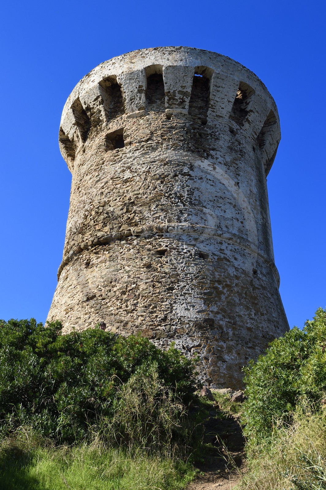 France, Corse-du-Sud (2A), Zonza, tour génoise de Fautea