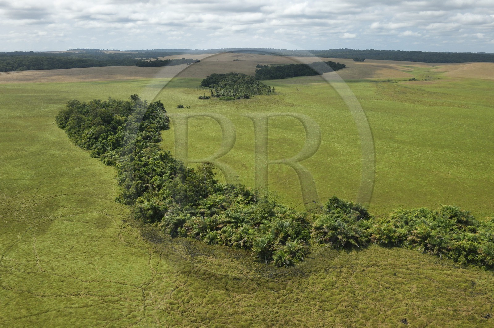 Gabon, Province de Ogooué-Maritime, Parc National Wonga Wongue, plaine (vue aérienne)