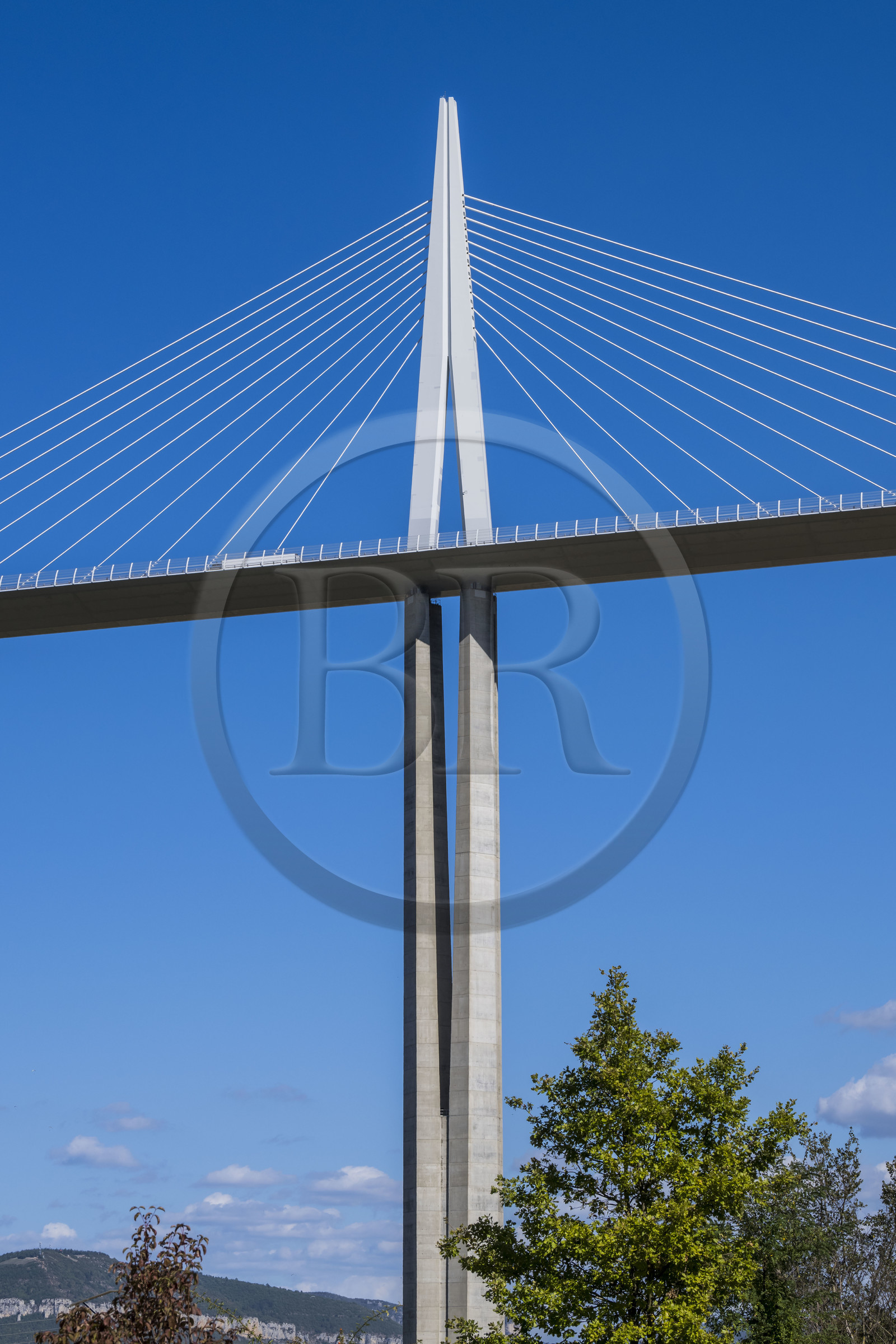 France, Aveyron (12), parc naturel régional des Grands Causses, Millau, le viaduc de Millau des architectes Michel Virlogeux et Norman Foster, au dessus du Tarn