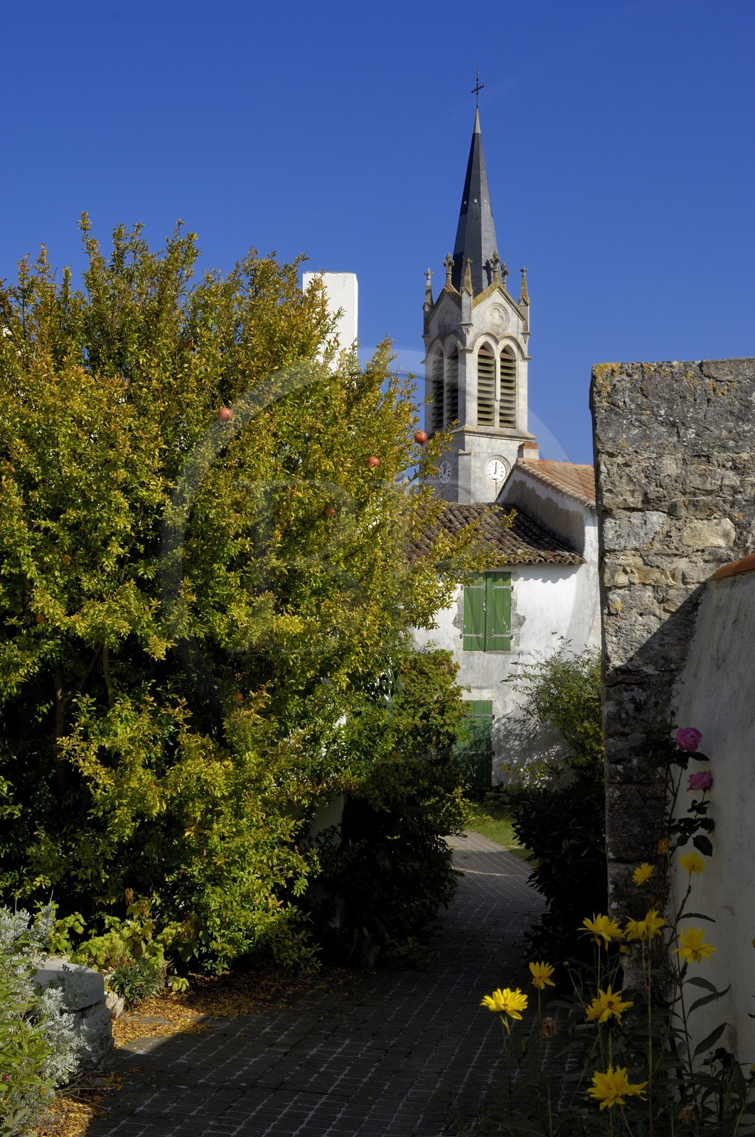 France, Charente-Maritime (17), ile de Ré, La Couarde-sur-Mer