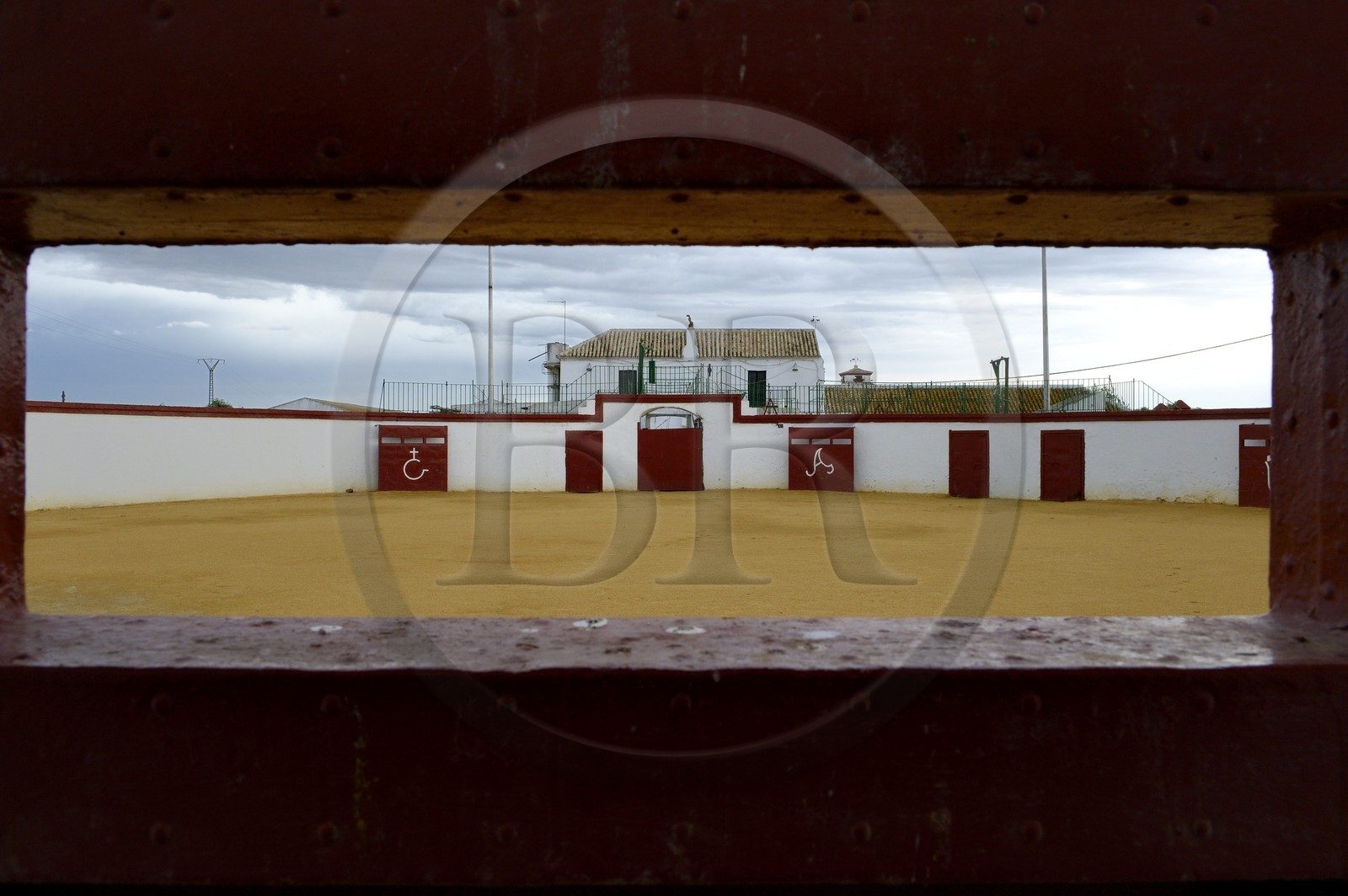Espagne, Andalousie, province de Séville, Utrera, domaine El Toruno, élevage de taureaux de combat, une des arenes d'entrainements
