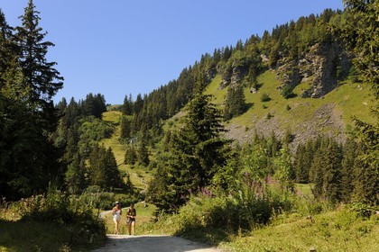 Suisse, Canton de Vaud, Villars sur Ollon, hameau de Bretaye