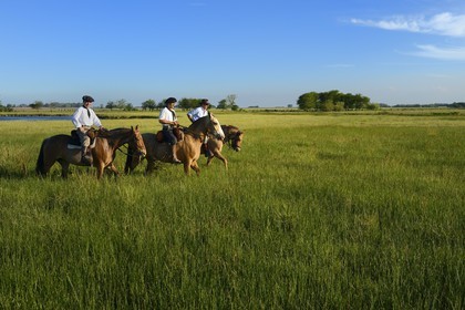 Argentina, Buenos Aires Province, San Antonio de Areco, estancia La Bamba de Areco, gauchos at work in the pampas