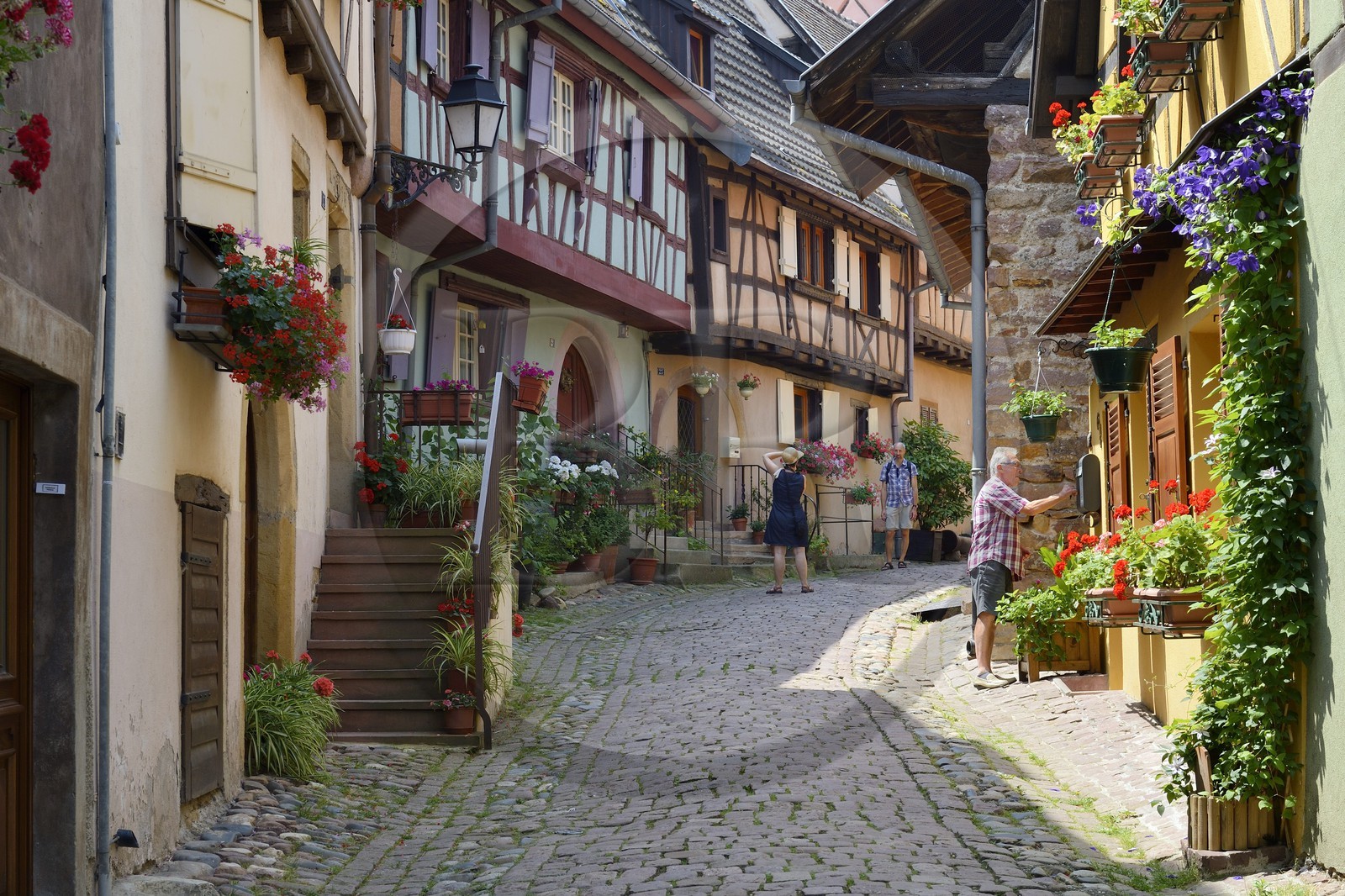 France, Haut Rhin, Eguisheim, labelled Les Plus Beaux Villages de France (The Most Beautiful Villages of France), traditional half-timbered houses in the South Rampart Street