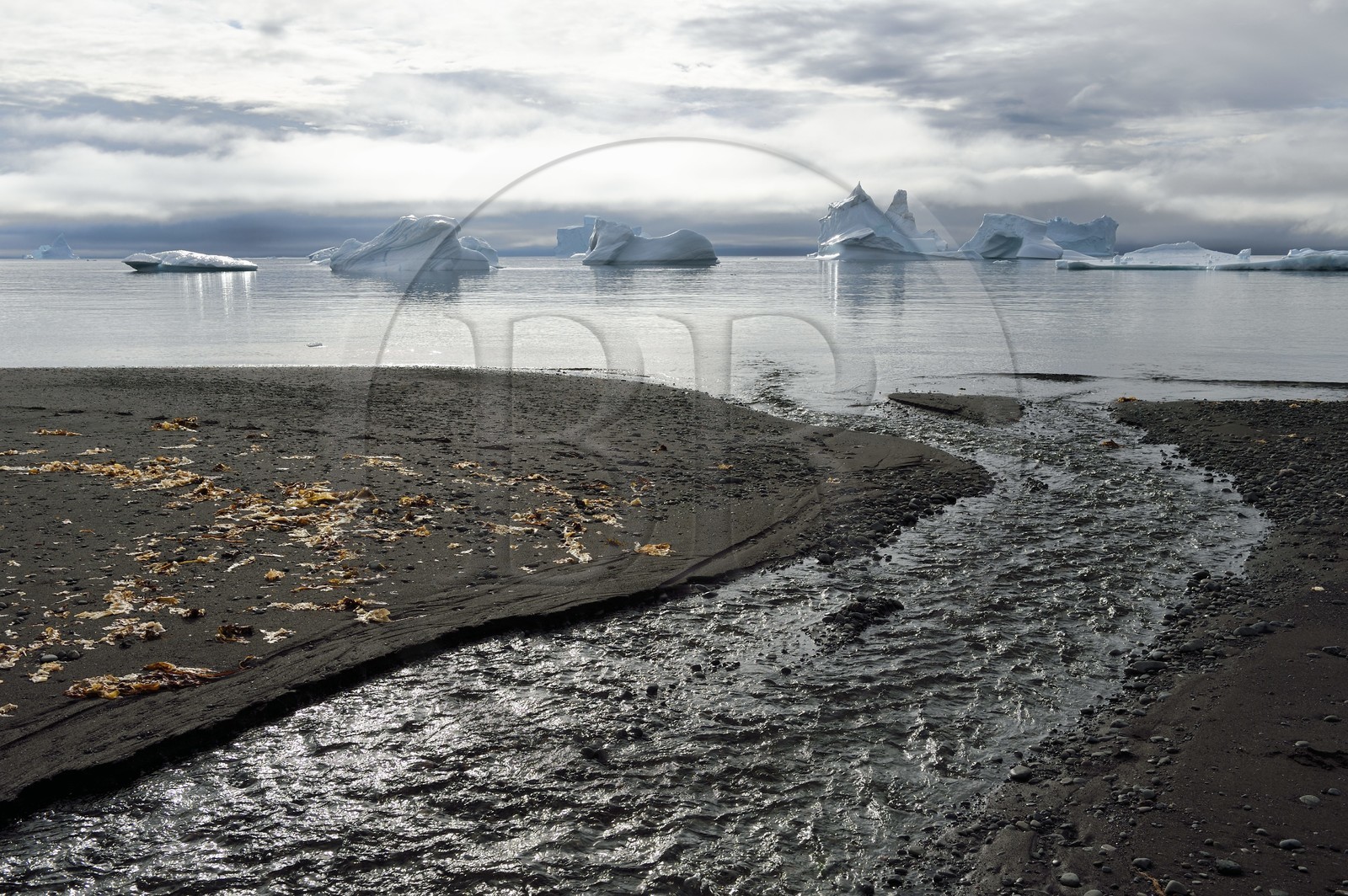 Greenland, west coast, Disko Island, Qeqertarsuaq village bay, icebergs in the mist