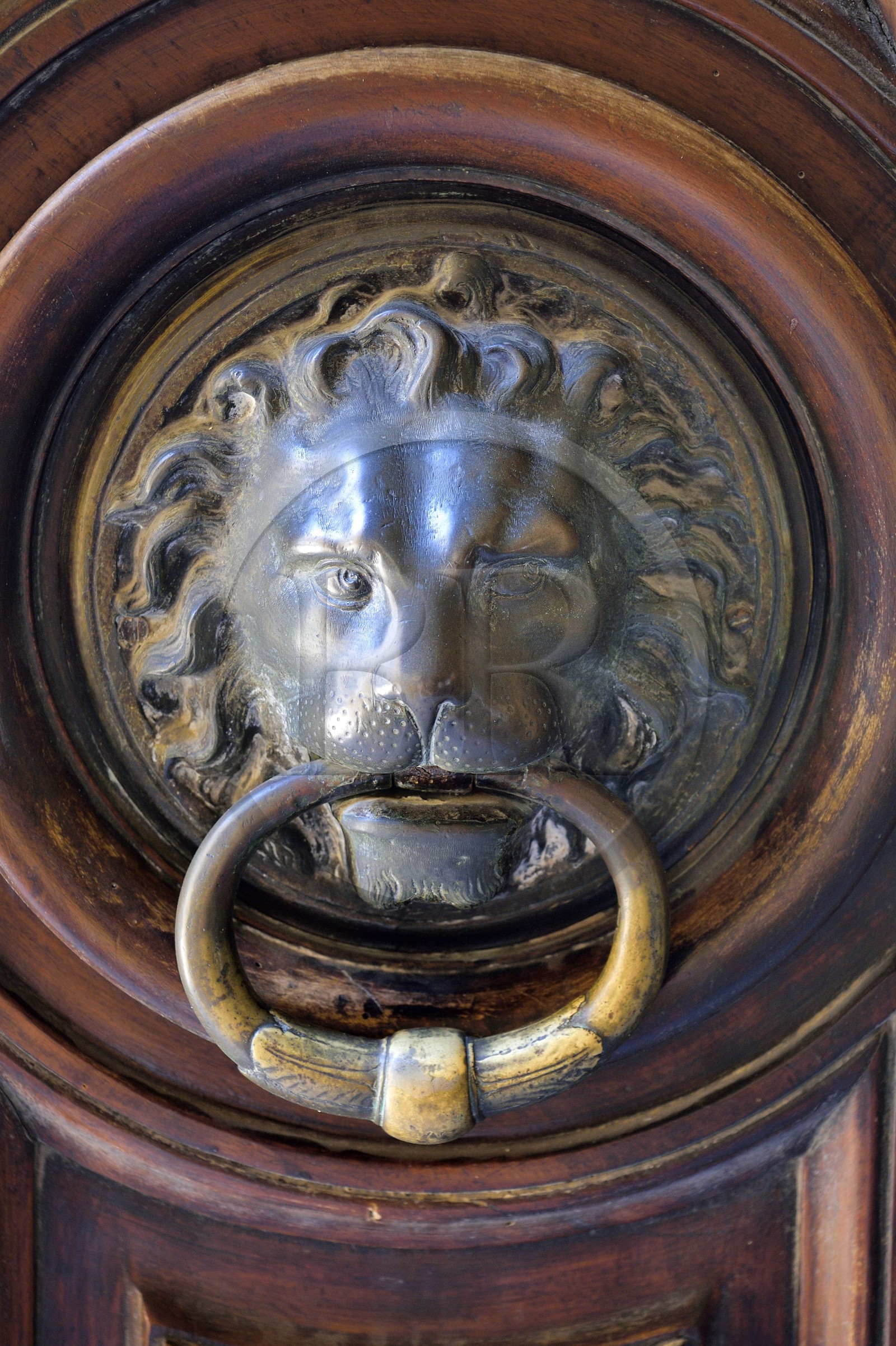 France, Bouches du Rhone, Arles, the city hall, knocker
