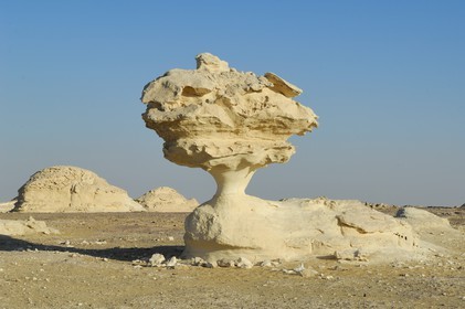 Egypte, désert libyque, le Désert Blanc au nord de Farafra