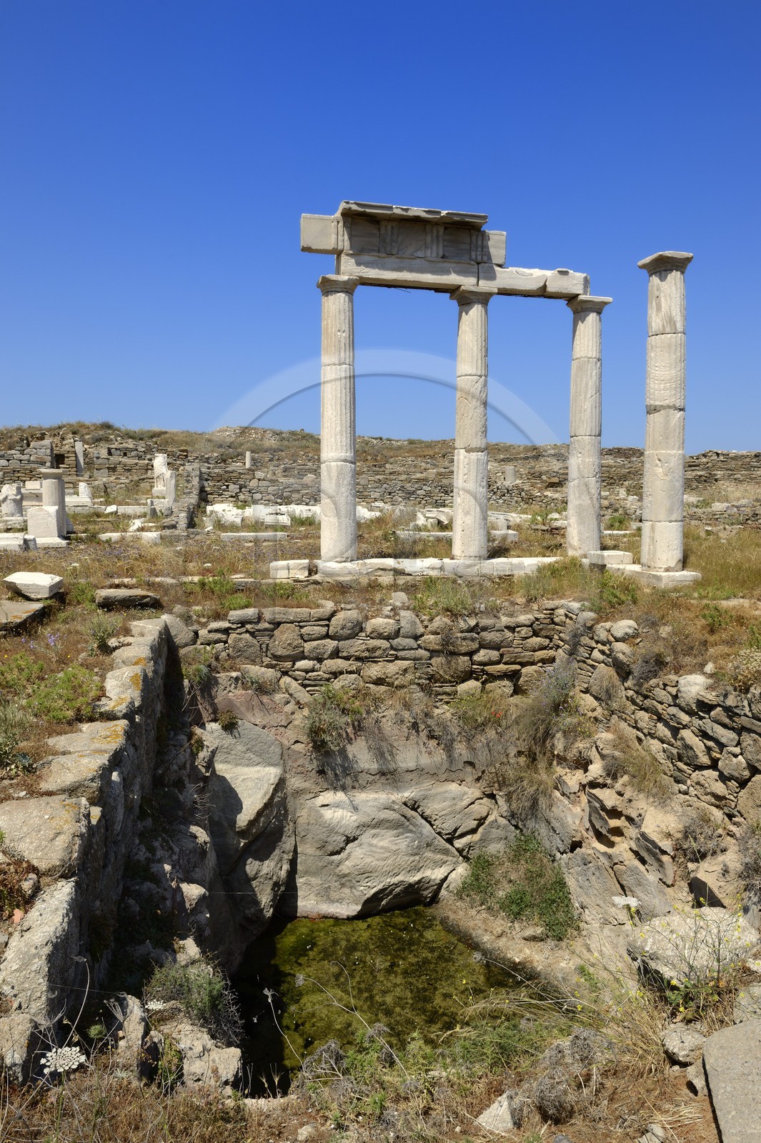 Grèce, île de Delos, classée Patrimoine Mondial de l'UNESCO, site archéologique de Délos, sanctuaire d'Apollon, la plus grande cité antique de la mer Egée, l'établissement des Poséidoniastes de Beyrouth