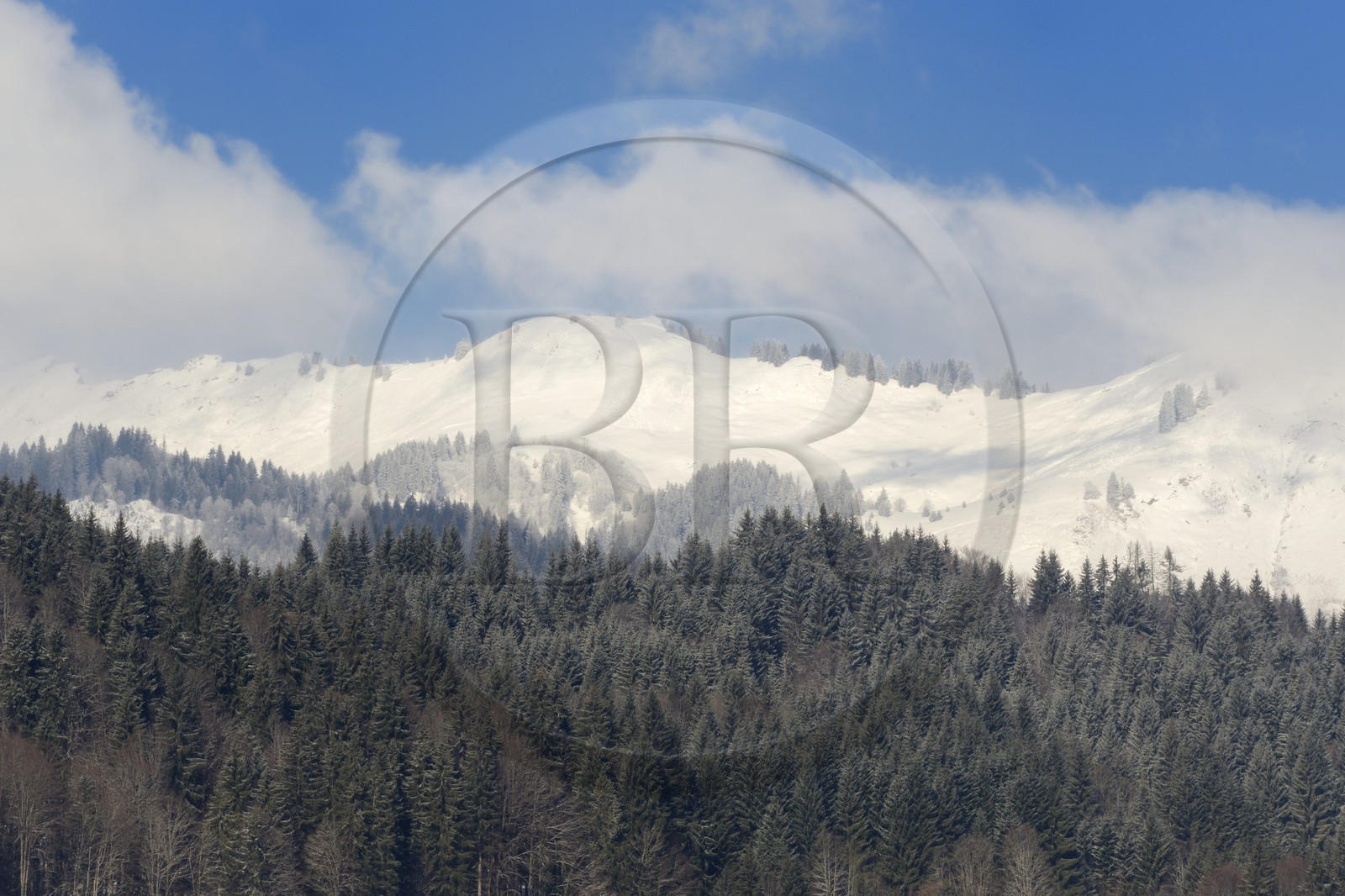 France, Haute-Savoie (74), Morzine