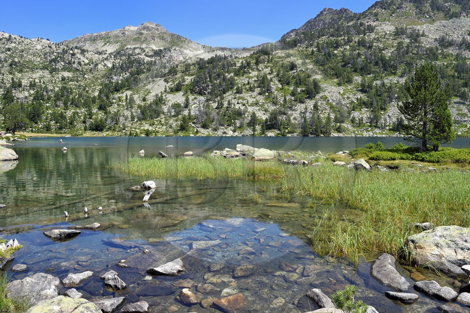 France, Hautes Pyrenees, Saint Lary Soulan and Vielle Aure, Neouvielle National Nature Reserve, Neouvielle lakes hike, Aumar lake