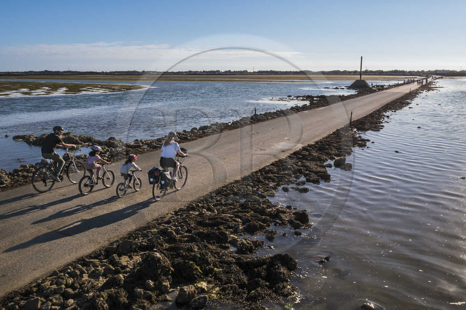 France, Vendée (85), île de Noirmoutier, Barbatre, cyclistes sur le passage du Gois à marée montante, chaussée submersible qui relie l'île au continent à marrée basse (vue aérienne)