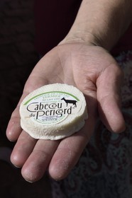 France, Dordogne (24), Périgord Noir, vallée de la Dordogne, Sarlat-la-Canéda, jour de marché, Cabécou de Périgord