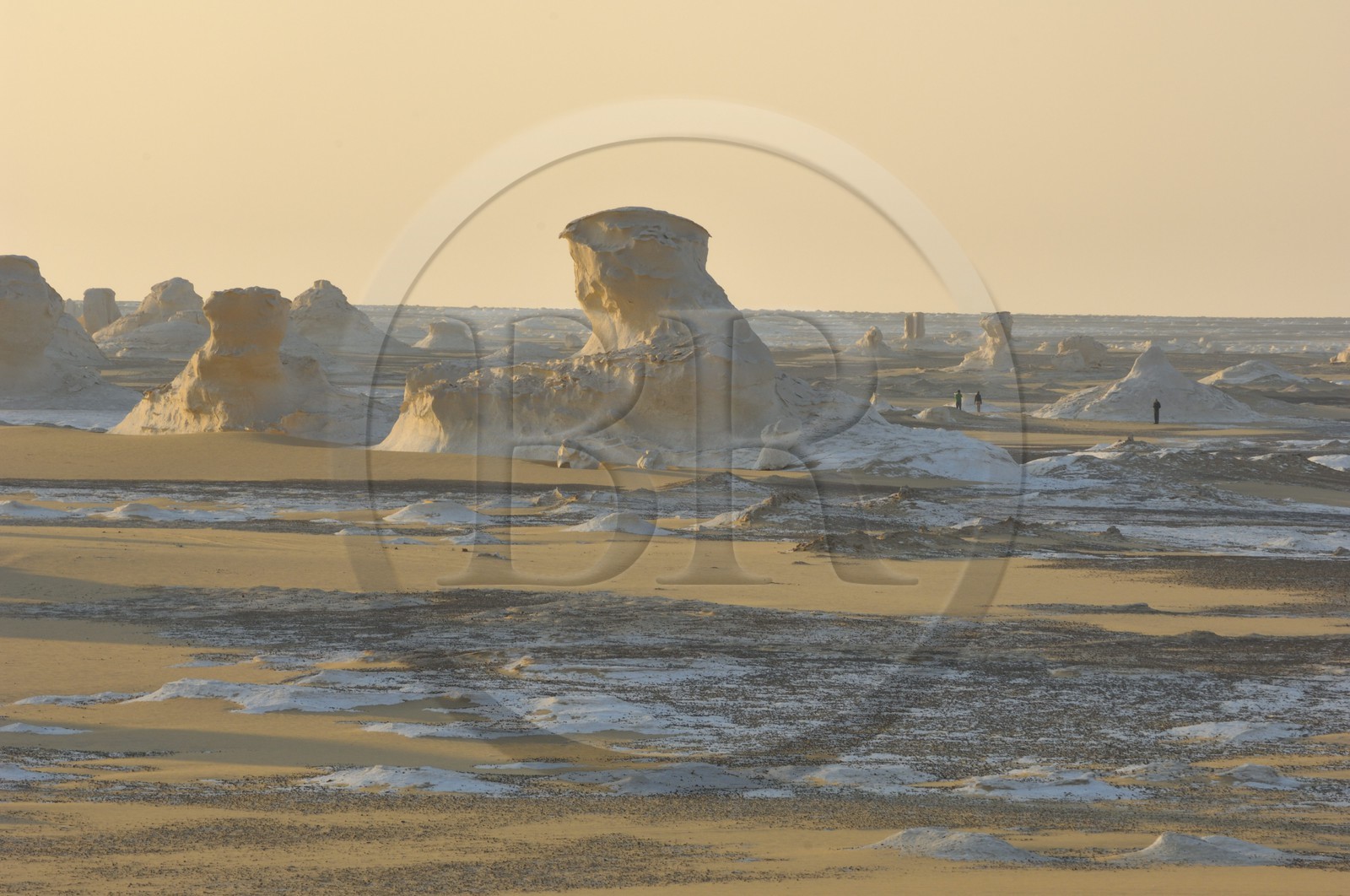 Egypte, désert libyque, le Désert Blanc au nord de Farafra