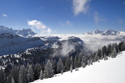 France, Haute Savoie, Araches la Frasse, Les Carroz d'Araches ski resort