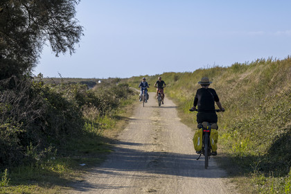 France, Vendée (85), île de Noirmoutier, Barbatre, cyclistes sur la digue de la côte Est