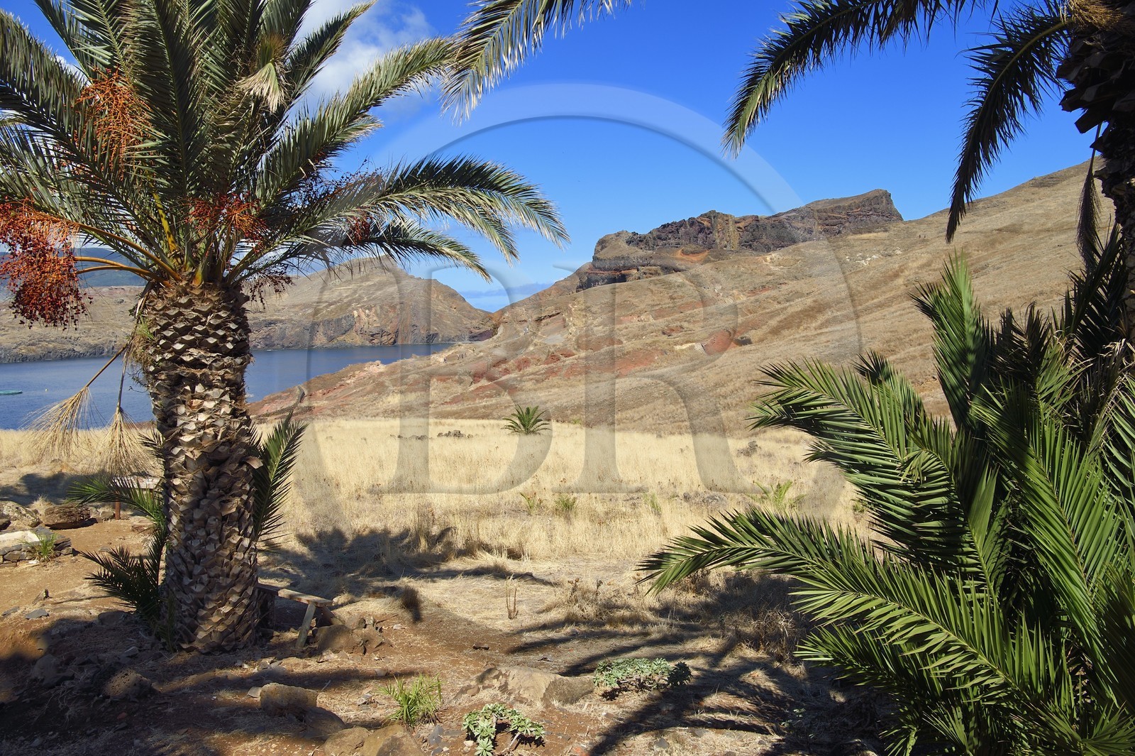 Portugal, Ile de Madère, randonnée dans la réserve naturelle de la Ponta de Sao Lourenço à l'extrême Est de l'ile