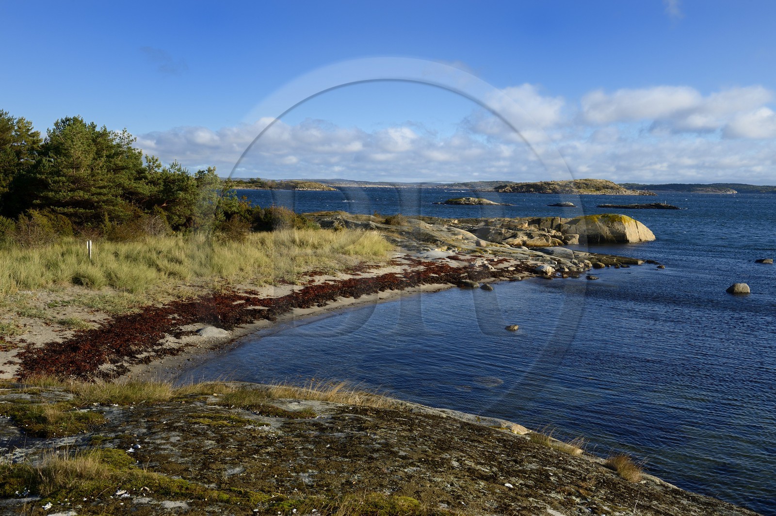 Sweden, Västra Götaland, Koster Islands, Sydkoster beach