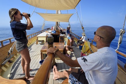 France, Alpes-Maritimes (06), Saint-Jean-Cap-Ferrat, sortie en mer sur le bateau Santo Sospir avec l'association SOS Grand Bleu pour l'observation des dauphins et des baleines dans le Sanctuaire Pelagos