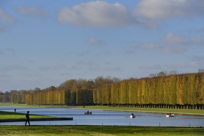 France, Yvelines (78), parc du château de Versailles, classé Patrimoine Mondial de l'UNESCO, le Grand Canal
