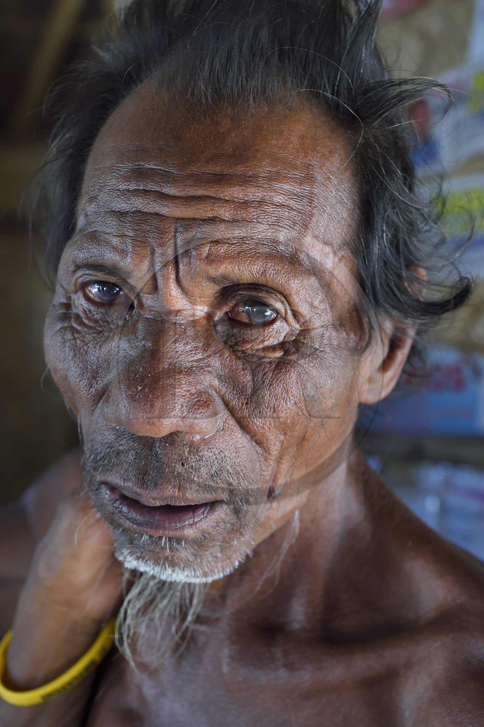 Philippines, Calamian Islands in northern Palawan, Uson Island in Coron Bay, village of Barangay Lajala, the seaweed diver-gatherer Danilo Magahon age 68 of the Tagbanua ethnic group