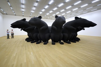 Suisse, Bâle, espace d'Art Schaulager des architectes Herzog et de Meuron, oeuvre de Katharina Fritsch Rat-King