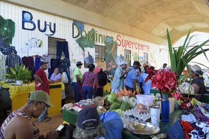 Caraïbes, Ile de la Dominique, la capitale Roseau, marché centrale