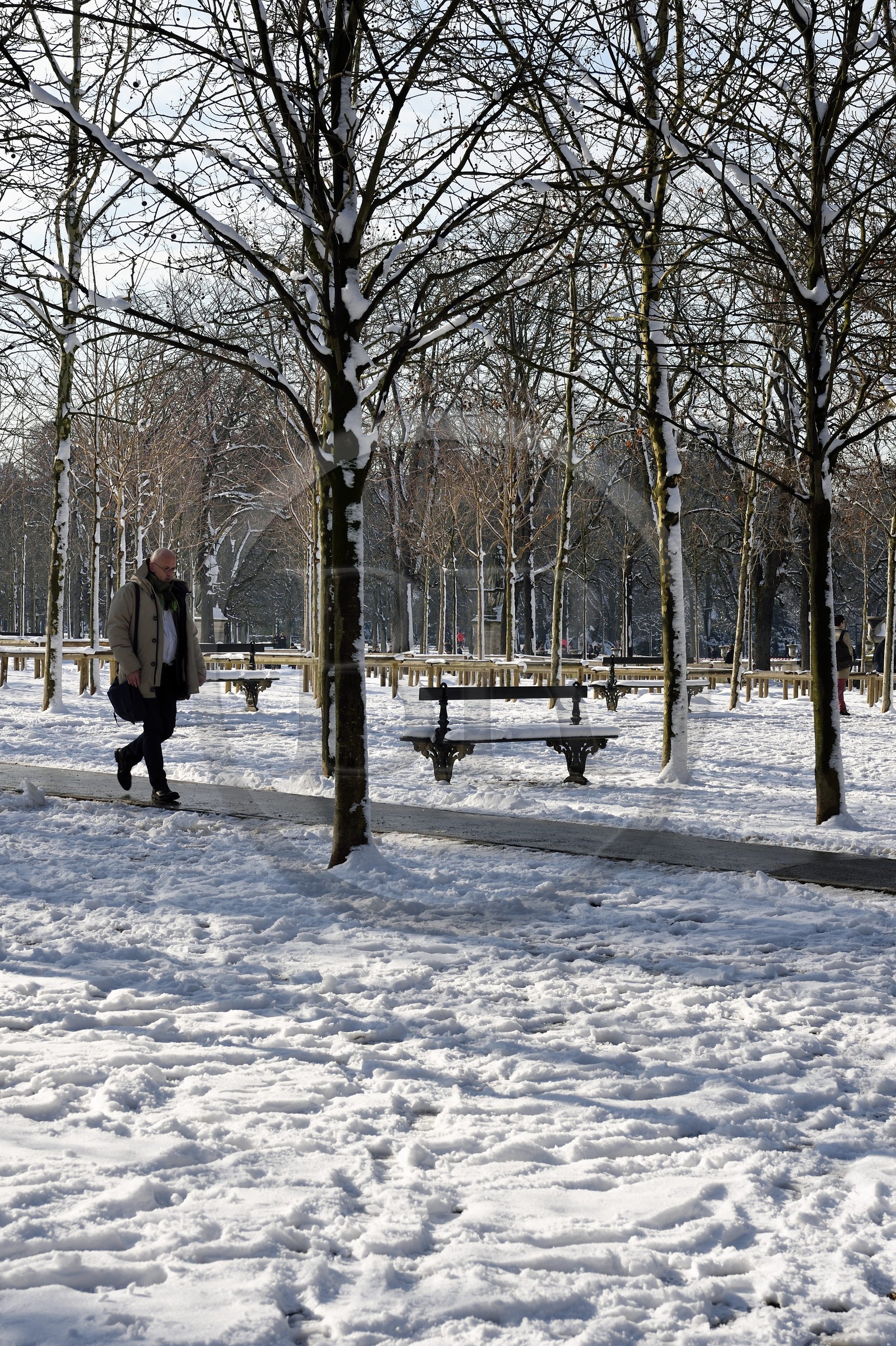France, Paris, Saint Michel district, walking in the Luxembourg Gardens under the snow