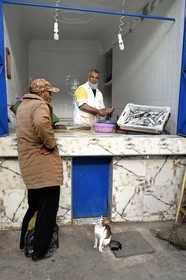 Maroc, Haut-Atlas, Marrakech, ville impériale, Médina classée Patrimoine Mondial de l'UNESCO, étal de poissonnier dans le souk