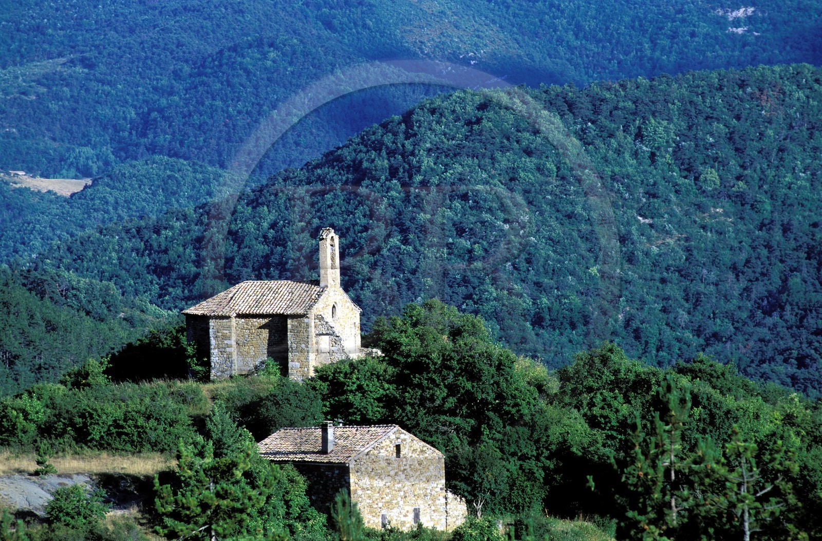 France, Hautes Alpes, Pays du Buëch region, Saint Cyrice chapel west of Orpierre