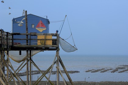 France, Charente-Maritime (17), Ile Madame, carrelets sur la côte