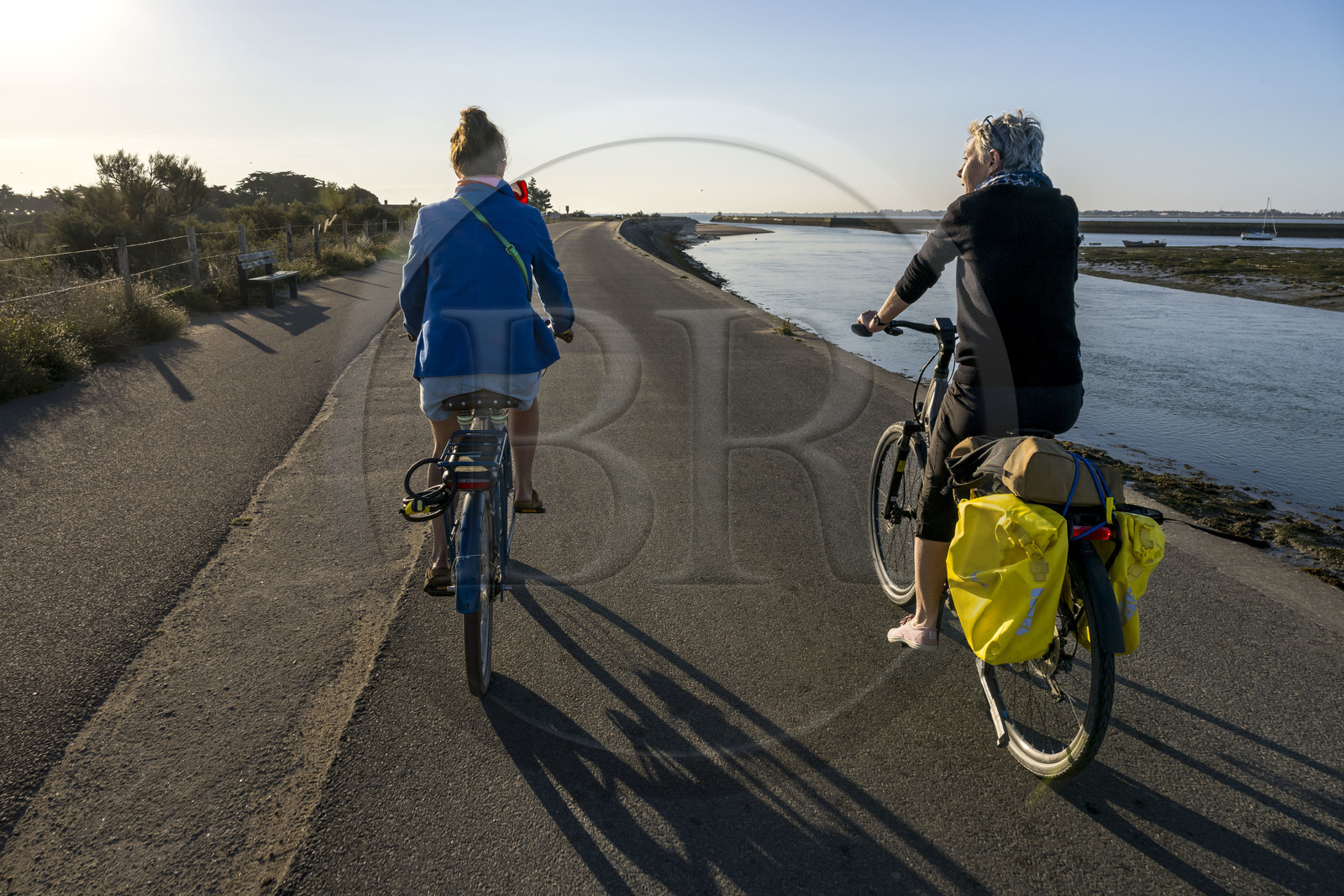 France, Vendée (85), Ile de Noirmoutier, Noirmoutier-en-l'Ile, cyclistes sur la chaussée Jacobsen